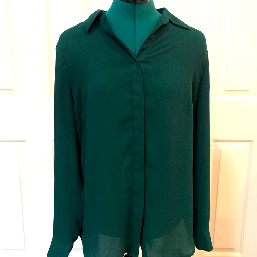 Dark green, v-neck sheer top